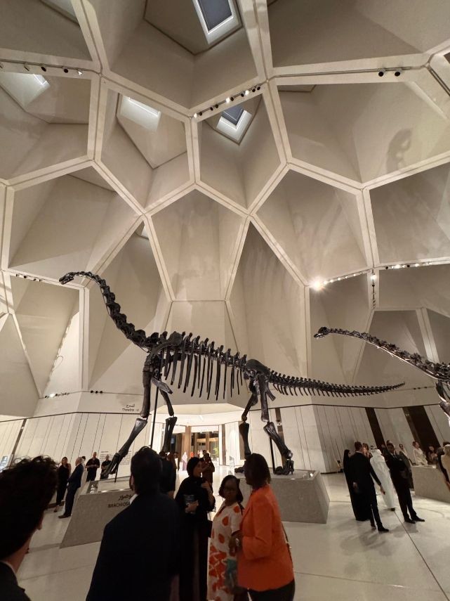 The gallery displaying dinosaur skeletons and impressive skylights